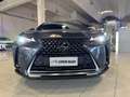 Lexus UX 250h Hybrid PREZZO REALE 16.000 KM! Grau - thumbnail 17