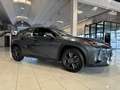 Lexus UX 250h Hybrid PREZZO REALE 16.000 KM! Grau - thumbnail 27