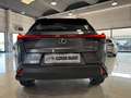 Lexus UX 250h Hybrid PREZZO REALE 16.000 KM! Grau - thumbnail 18