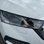 Skoda Octavia Combi 2,0 TDI 4x4 Style DSG *MatrixLED*Kamera* Weiß - thumbnail 9