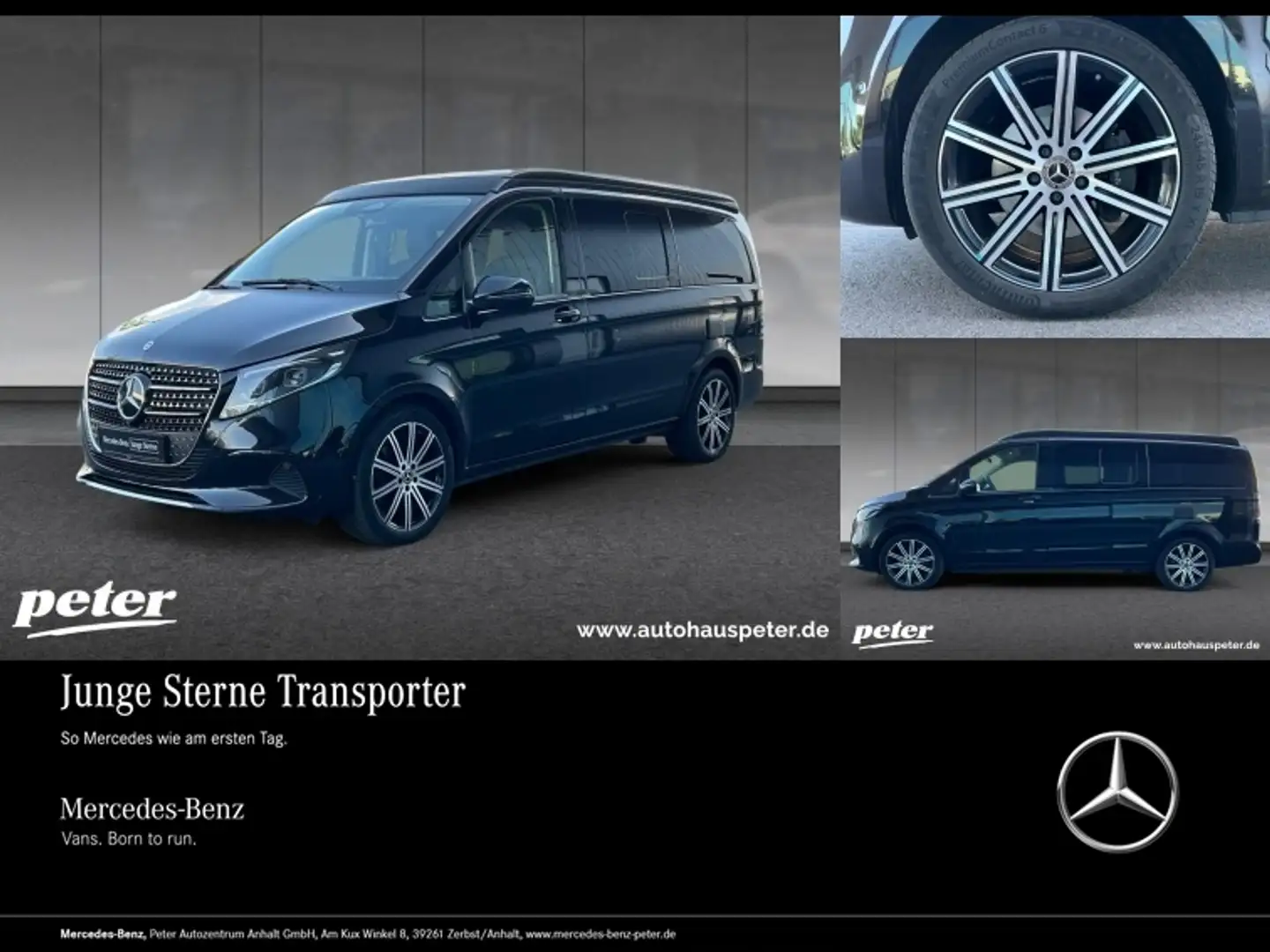 Mercedes-Benz Marco Polo 300 d DISTR+AHK+AIRMATIC Noir - 1
