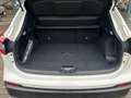 Nissan Qashqai 1.3 DIG-T Zama Navi Pano SD 360 Kam. PDC Blanc - thumbnail 22