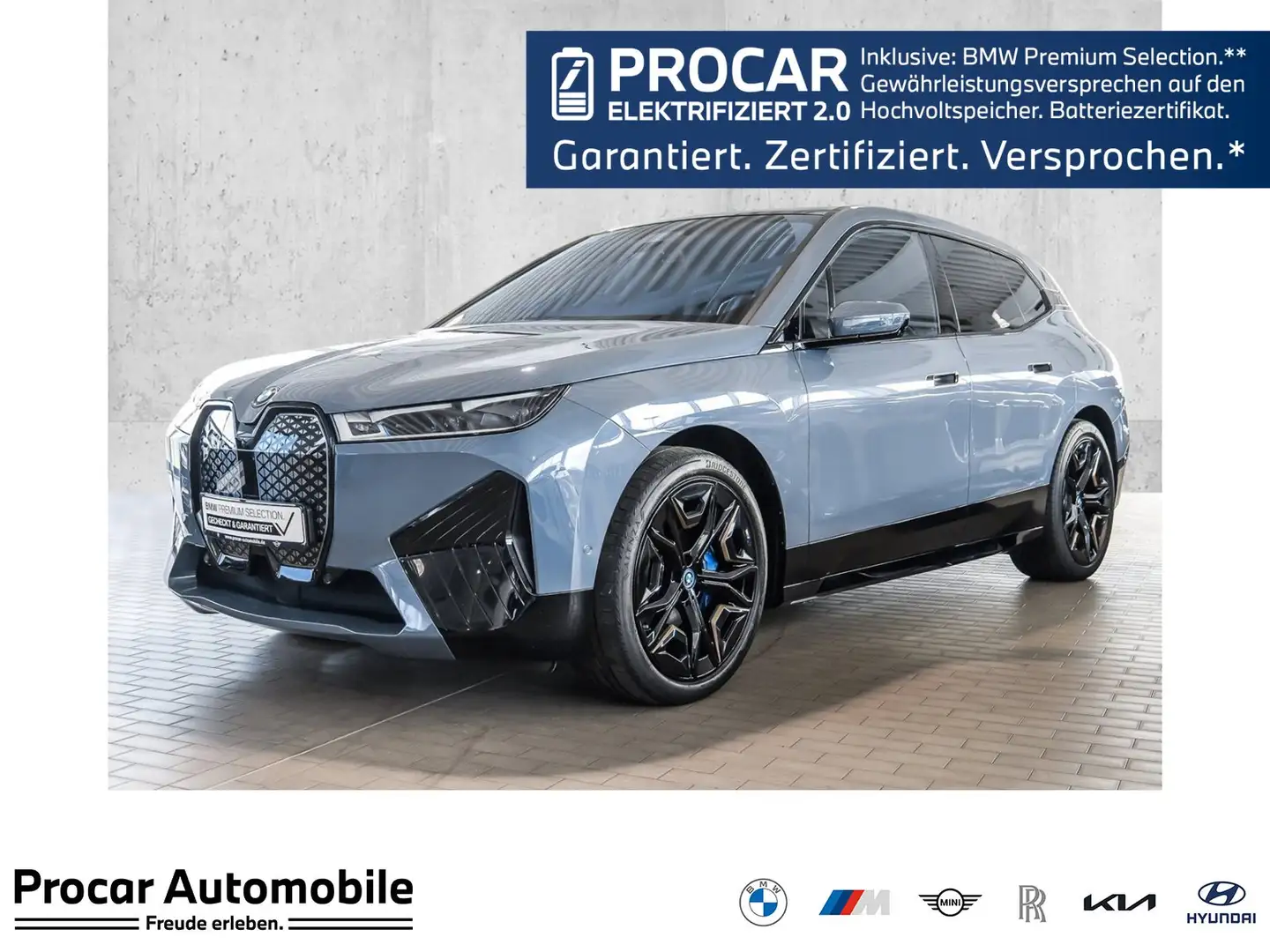 BMW iX xDrive40 Sportpaket Sitzlüft 22Zoll SkyLounge H/K Gris - 1