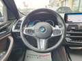 BMW X4 (G02/F98) xDrive20d Msport Blue - thumbnail 14