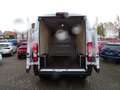 Opel Movano Cargo 2,2 Blue HDi 3,5t verstärkt L3H2 Weiß - thumbnail 11