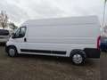 Opel Movano Cargo 2,2 Blue HDi 3,5t verstärkt L3H2 Weiß - thumbnail 4