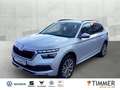 Skoda Kamiq 1.0 TSI Clever *AHK*Blind Spot*Kessy*Amundsen* Argento - thumbnail 1
