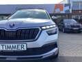 Skoda Kamiq 1.0 TSI Clever *AHK*Blind Spot*Kessy*Amundsen* Argento - thumbnail 6