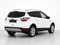 Ford Kuga 2,0 TDCi Titanium Powershift Aut.*ERSTBESITZ* Weiß - thumbnail 5
