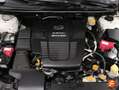 Subaru XV 2.0i Hybrid Executive Plus CVT Blanco - thumbnail 16
