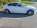 Jaguar XF XF 2.2 Diesel Weiß - thumbnail 1