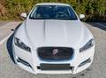 Jaguar XF XF 2.2 Diesel Weiß - thumbnail 4