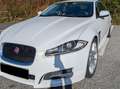 Jaguar XF XF 2.2 Diesel Weiß - thumbnail 2