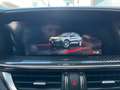 Alfa Romeo Stelvio Stelvio 2020 2.2 t Veloce Ti Q4 210cv auto Blu/Azzurro - thumbnail 15