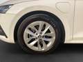 Skoda Octavia Combi 1.4 iV AMBITION LED SITZH DAB Bianco - thumbnail 7