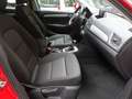 Audi Q3 Q3 Quattro 2.0 tdi Business 150cv s-tronic E6 Navi Rouge - thumbnail 17