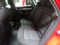 Audi Q3 Q3 Quattro 2.0 tdi Business 150cv s-tronic E6 Navi Rouge - thumbnail 12