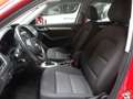 Audi Q3 Q3 Quattro 2.0 tdi Business 150cv s-tronic E6 Navi Rouge - thumbnail 4
