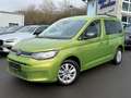 Volkswagen Caddy Life 2.0 TDI ACC DAB PDC SHZ Winterpaket Grün - thumbnail 1