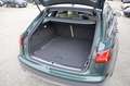 Audi A6 allroad 3.0 TDI 320 CV tiptronic Business Plus Verde - thumbnail 17