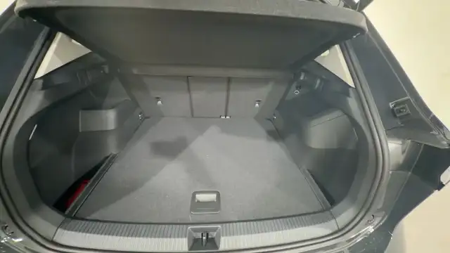 Volkswagen Tiguan view 10