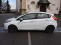 Ford Fiesta Fiesta Trend 1,25 Trend Weiß - thumbnail 3