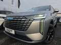 GWM HAVAL H6 1.5 HEV DHT Luxury Panoramadach Head-Up Grau - thumbnail 5