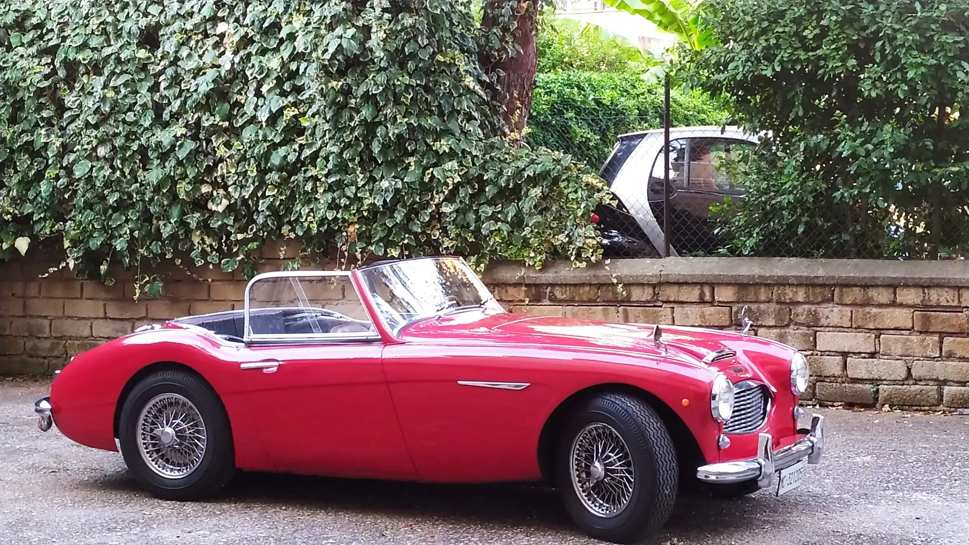 Austin-Healey 3000 bt7 Rojo - 1