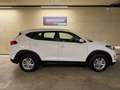 Hyundai TUCSON 1.6 CRDI 4WD Level 3 Run ''ALLRAD'' Weiß - thumbnail 6