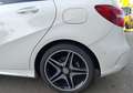 Mercedes-Benz B 200 MERCEDES 200 CDi 2.1 7G-DCT 136 cv BVA Fascination Pack AMG Weiß - thumbnail 30