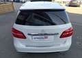 Mercedes-Benz B 200 MERCEDES 200 CDi 2.1 7G-DCT 136 cv BVA Fascination Pack AMG Weiß - thumbnail 9
