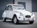 Citroen 2CV Spécial - 1 Jaar garantie Blanc - thumbnail 5