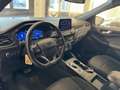 Ford Kuga Kuga 1.5 ecoblue ST-Line X 2wd 120cv auto Argent - thumbnail 11