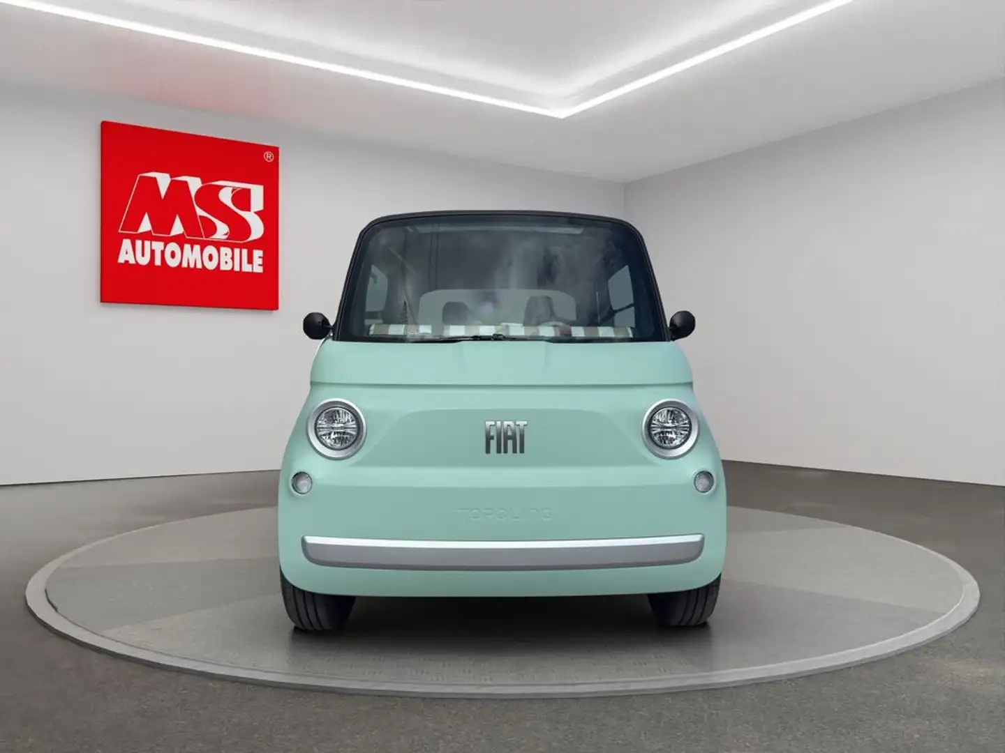 Fiat Elektro FAHREN AB 15 JAHREN Зелений - 2