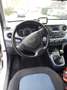 Hyundai i10 i10 1.0 blue Trend Weiß - thumbnail 11