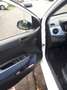Hyundai i10 i10 1.0 blue Trend Weiß - thumbnail 8