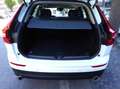 Volvo XC60 XC60  2.0 b4 Momentum  - Business awd auto-GE934CR Blanc - thumbnail 13