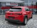 Lexus UX 250h UX 250 h Style Edition wenig KM*Top Kompaktwagen Rot - thumbnail 4