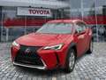 Lexus UX 250h UX 250 h Style Edition wenig KM*Top Kompaktwagen Rot - thumbnail 1