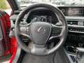 Lexus UX 250h UX 250 h Style Edition wenig KM*Top Kompaktwagen Rot - thumbnail 11