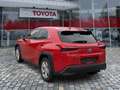 Lexus UX 250h UX 250 h Style Edition wenig KM*Top Kompaktwagen Rot - thumbnail 3