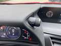 Lexus UX 250h UX 250 h Style Edition wenig KM*Top Kompaktwagen Rot - thumbnail 21