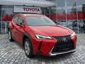 Lexus UX 250h UX 250 h Style Edition wenig KM*Top Kompaktwagen Rot - thumbnail 5