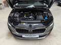Skoda Scala Selection TSI DSG Style - LEASINGAKTION Grau - thumbnail 6