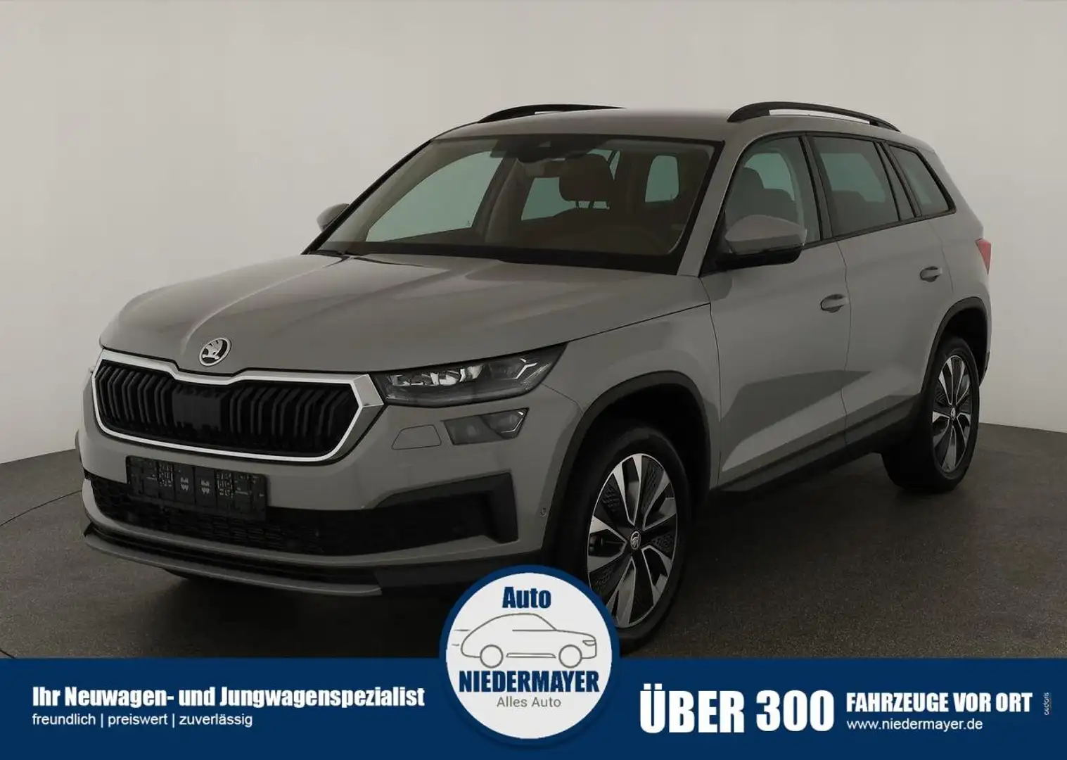 Skoda Kodiaq 2.0 TDI DSG 4x4 Tour, AHK, Matrix, Navi, 1. Hand Серый - 1