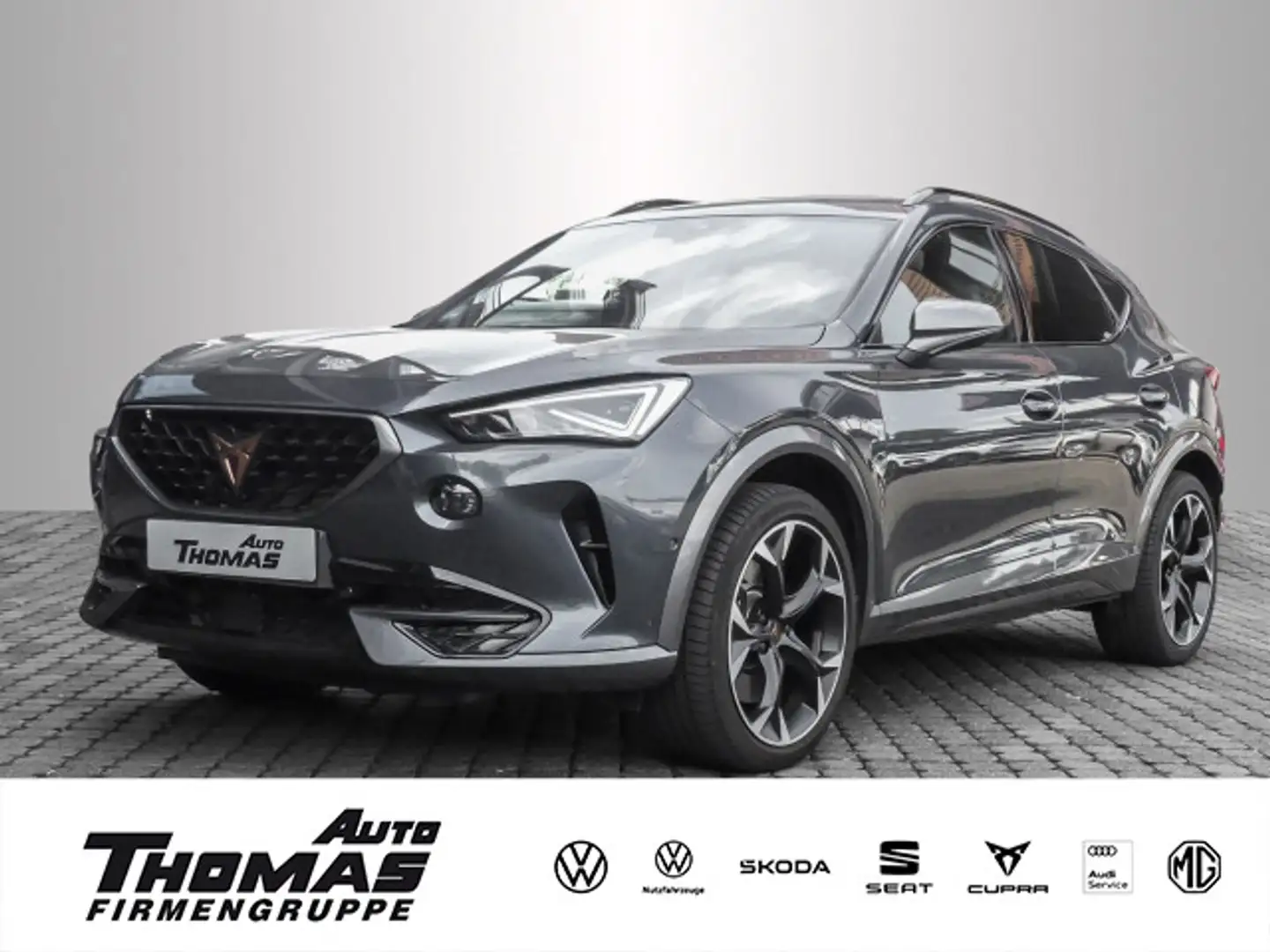 CUPRA Formentor VZ 2.0 TSI 4Drive DSG AHK+PANO+MATRIX Grau - 1