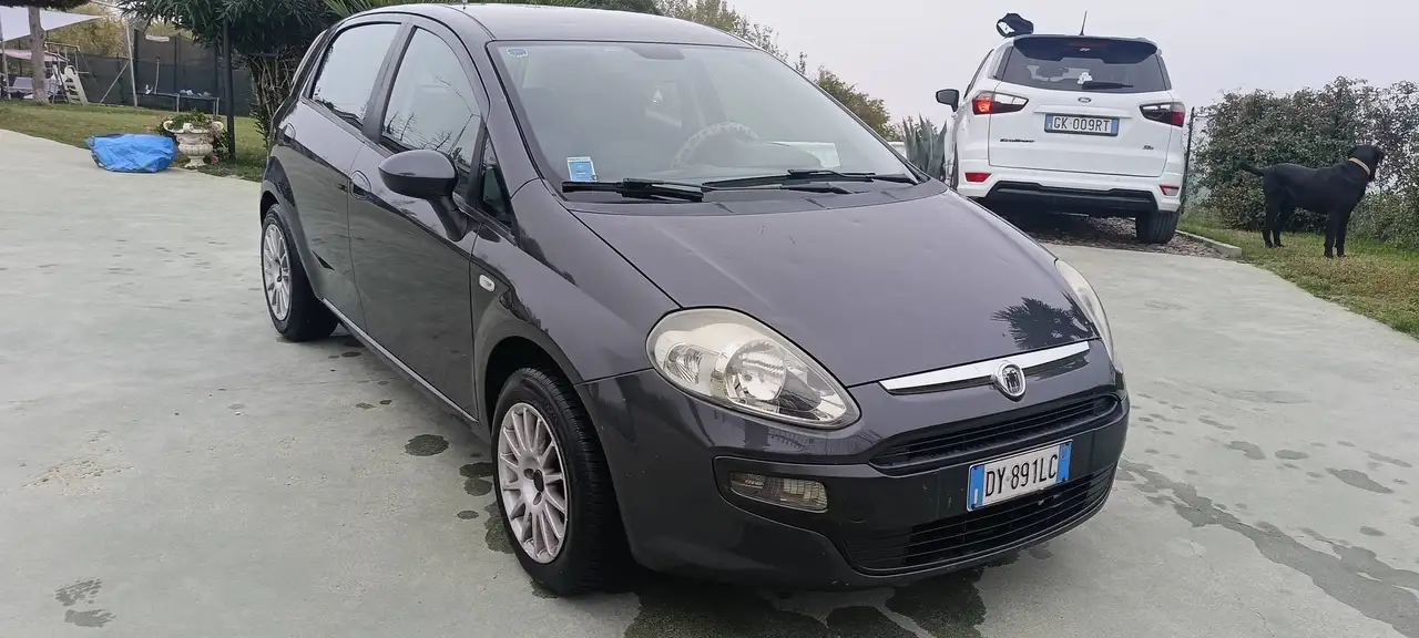 Fiat Punto Evo
