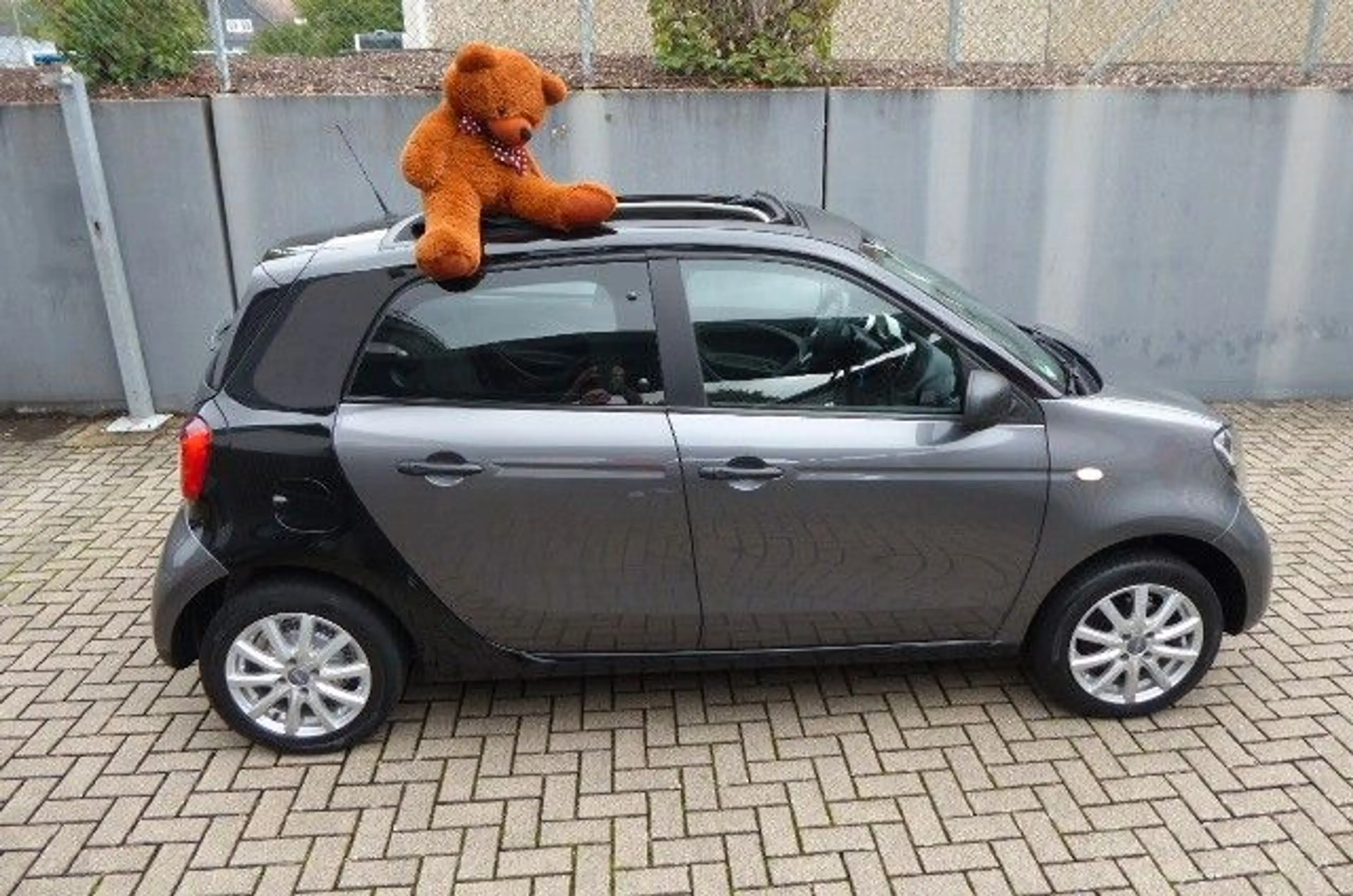 smart forFour Faltdach Servo nur 38.200km! — photo 8