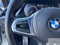 BMW 116 116D M-SPORT C.AUTOMATICO NEOPATENTATI CARPLAY SE Weiß - thumbnail 10