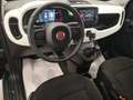 Fiat Panda Pandina Cross 1.0 firefly hybrid s * 2025 * Verde - thumbnail 7